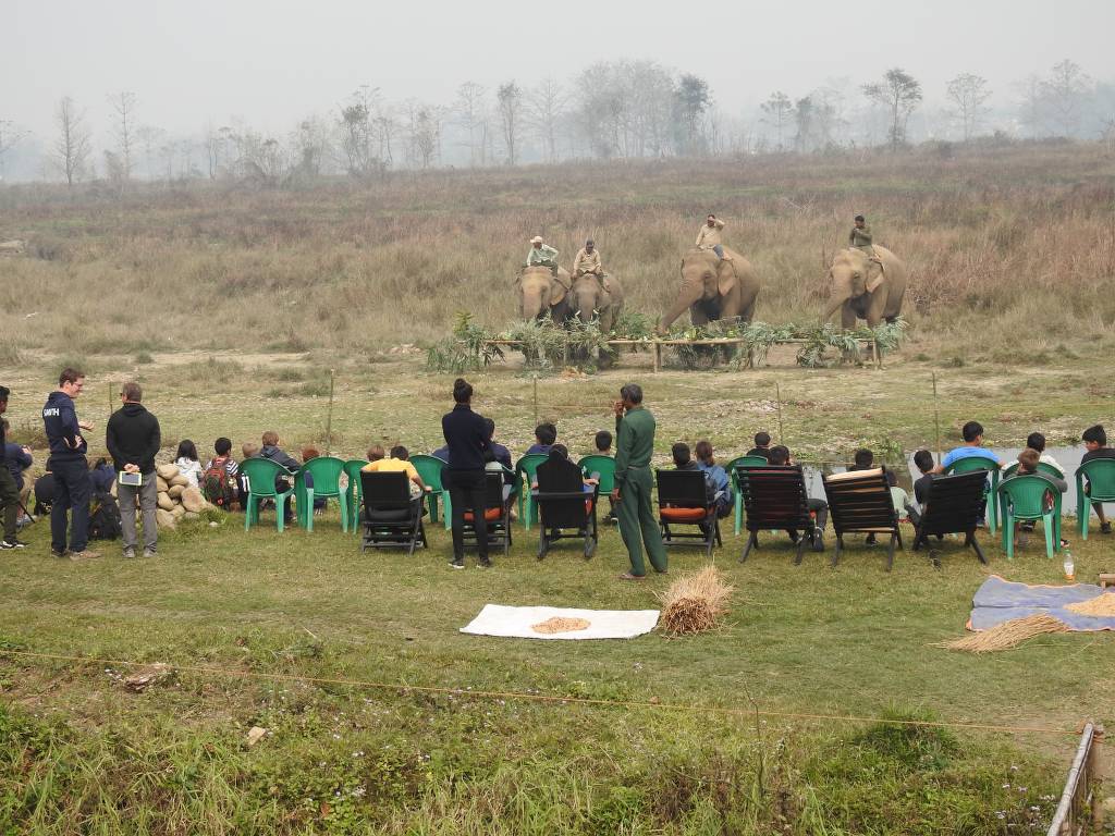 Rescued elephants living freely at Sapana Village Lodge